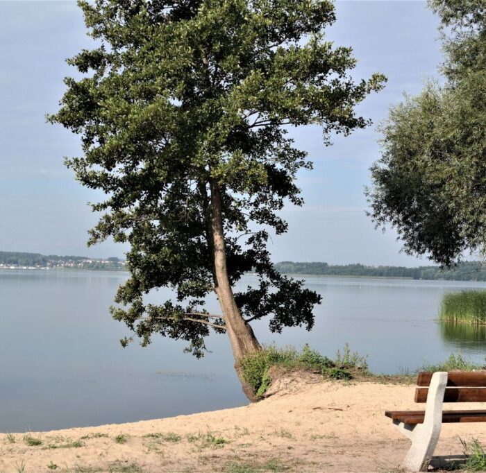 Spokojna naturalna plaża nad jeziorem
