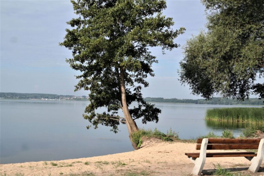 Spokojna naturalna plaża nad jeziorem